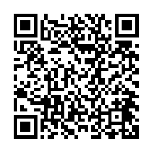 族人陡然间死伤无数……种种惨烈的遭遇让他们简直无法接受二维码生成