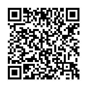 族用了这样偷天换日的手段瞒过了风苍国的皇帝二维码生成