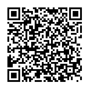 族群里的歌者一遍又一遍的将大王法则浸润进了每一个蛮族的血脉里二维码生成