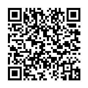 族长呼延安宝不但用烤全羊招待这位全族恩人的活菩萨二维码生成