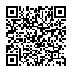 无可抵挡的……山田弥生这个大神官的实力已经非常可怕了二维码生成