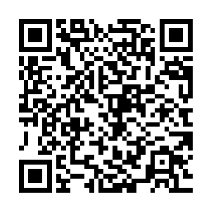 无妨……夏首领该不会是……以为老夫……要灯尽油枯了吧……二维码生成