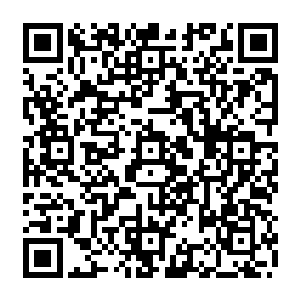 无尽海域生活在葫芦岛周边的海族们都对美人鱼们频繁路过它们领地表示了非常不满二维码生成