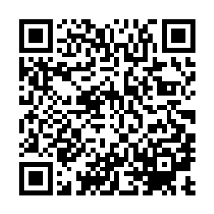 无形中取代成小天罗地网的新核心……无数信息流光涌过来二维码生成