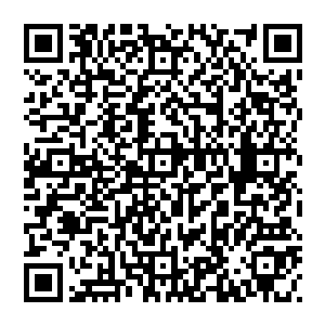 无数个版本的传言满天飞　不过矛头都是指向风清扬　手持毛笔凌空一划　金丹大能陨落　这是何等霸气何等威风二维码生成