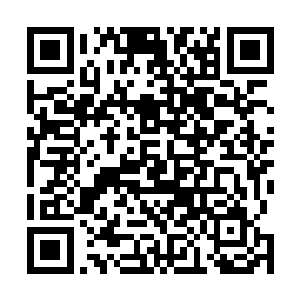 无数倍地偿还了当初在混沌旋涡中承受的灵魂撕裂的痛苦二维码生成