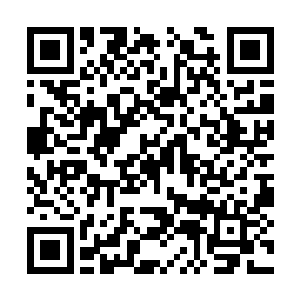 无数地巨型草叶将巨齿鼠像裹粽子一样裹在了里面二维码生成