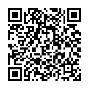 无数大大小小的零散营地却代表着无数的暗精灵社会背叛者二维码生成