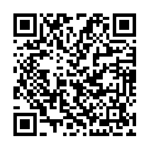 无数已经荒废不见踪影的水渠如今也重新出现在荒原上二维码生成