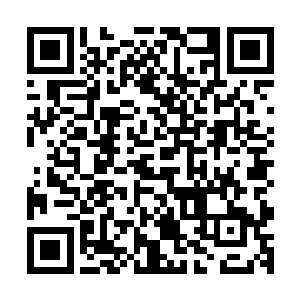 无数愤怒的民众拿着烂菜叶和臭鸡蛋去砸匹配者研究院的大门二维码生成