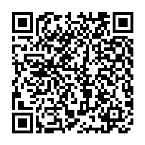 无数普通人将面临着和威夷次大陆那许许多多普通人一样悲惨命运的时候二维码生成