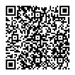 无数柳条抬着枝头让上面那一片片带着血红色脉络的柳叶跟眼睛一样的翻动着盯着我二维码生成