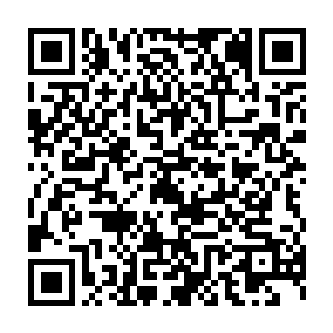 无数片枯黄的槐树树叶在黯淡无比的月光之中朝着我们飘了过来……二维码生成