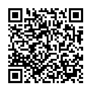 无数的专家已经将这种营养丸的构成研究过无数遍了二维码生成