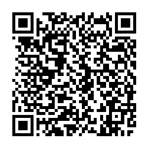 无数的人都在翘首企盼看你是不是能够给大宋死水一样的朝堂带来新的波澜二维码生成