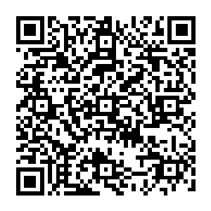 无数的四年级学生都用一种神奇而无语的目光看着苏落摇摇晃晃的推着手推车离开二维码生成