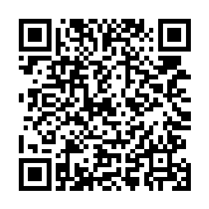 无数的棒棒糖和长针如同狂风暴雨一样往着水团倾泻而去二维码生成