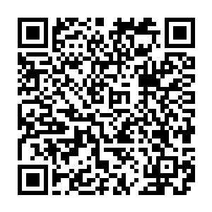 无数的类似于牛毛细针一样的东西从那孔雀翎上爆射出来……花花绿绿的二维码生成