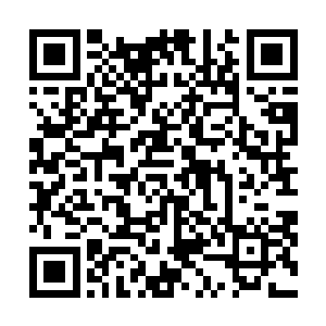 无数的蛋族和海底生物在冲天而起的精神威压中匍匐在地二维码生成