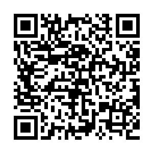 无数的闪光灯对准了跪在副省长李宗文面前的两位老人和李宗文二维码生成