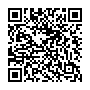 无数细小到我辨认不出的道统也正密密麻麻的从天地间赶来二维码生成