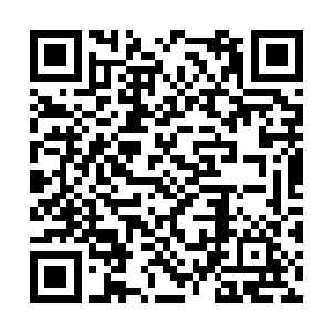 无数还在正常生活着的人类被无尽的海啸巨力冲起二维码生成