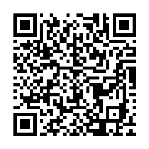 无极掌教那一等级的人便可以完全感觉到白帝的意思――镇压二维码生成