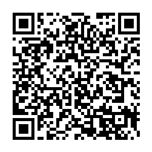 无比洪亮的嘶鸣声仿若化作了实质一般衍生出凌乱的风暴四散开来二维码生成