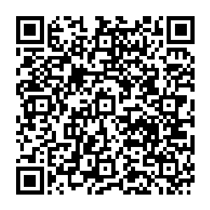 无比诡异的出现了一根根细长的黑色尖刺……就像是身体内突然长出了无数根钢锥似的二维码生成