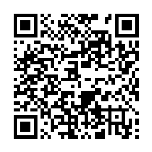 无法消化的震惊模样让开始处理紫皮的莫崎忍不住皱眉二维码生成