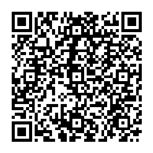 无法相信眼前这位温柔美丽的能与晨曦相媲美的少年是宝儿和教皇口中那个卑鄙无耻的人二维码生成