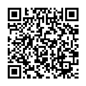 无状态也是s3时代唯一一个能与巅峰大魔王五五开的世界级中单二维码生成