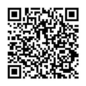 无疑可以对这一区域的药材种植发展带来很大的推动作用二维码生成