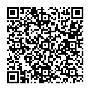 无疑就是之前与陈诚交过手的五五开以及夏季赛正式回归战队的前国服第一中单无状态二维码生成