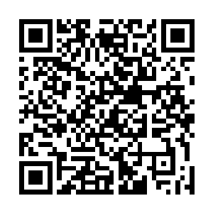 无相宗的苏仙风和小林仙宗的无极子一看剑尘面前的剑气二维码生成