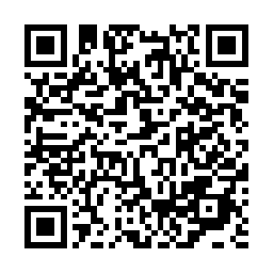 无穷无尽的海啸便伴随着青蛟的怒气一波一波拍打在岛上二维码生成