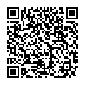 无视了佳佳痛的抽搐的脸庞和看到她被鲜血染红的手指的欲言又止二维码生成