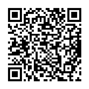 无计可施的它竟然成为了第一条放弃目标的精英体死亡沙虫二维码生成