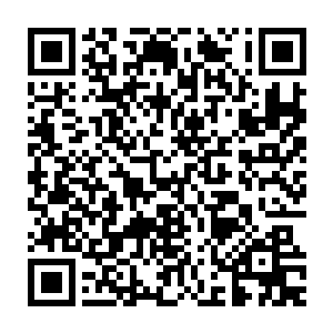 无论什么血液都会被中和成为一种对任何人都不排斥的纯粹的灵血二维码生成