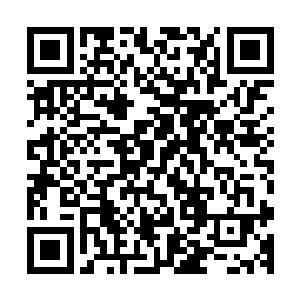 无论他是否存了利用白默翰先研制疫苗再将他杀掉复仇的心思二维码生成