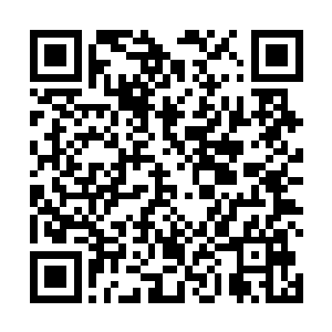 无论付出多大的代价都要将对手碾灭才行――不然的话二维码生成