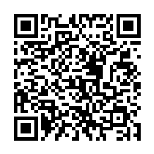 无论如何也不可能拿到与翻云覆雨楼差不多大小的地盘二维码生成