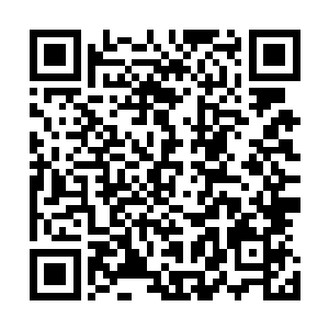 无论如何他都要想办法让圣极门对云起舞和南寻风下追杀令二维码生成