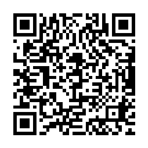 无论如何是不会放弃那里的优厚生活跑到一个小小的村子里去的二维码生成