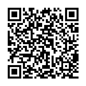 无论帝皇还是今天生活在盘古宇宙中的每一个普普通通的人类二维码生成