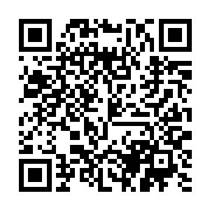 无论是世俗界的许家还是东方修仙界的许家庄那些人二维码生成