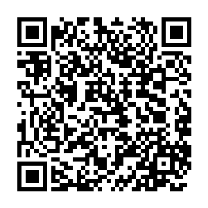 无论是丞相所在的郁金香家族还是杨家的实力甚至都比皇室要强一些二维码生成