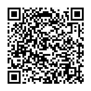 无论是从体型还是从气势上他们都知道小金绝对不是他们可以惹得起的二维码生成