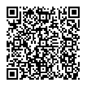 无论是圆拱形的天棚上还是四周的墙壁全部画满了那些奇奇怪怪的类似符篆的文字二维码生成