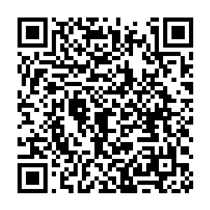 无论是大灾变之前的人类社会的发展经验还是这个时代人们的客观总结二维码生成